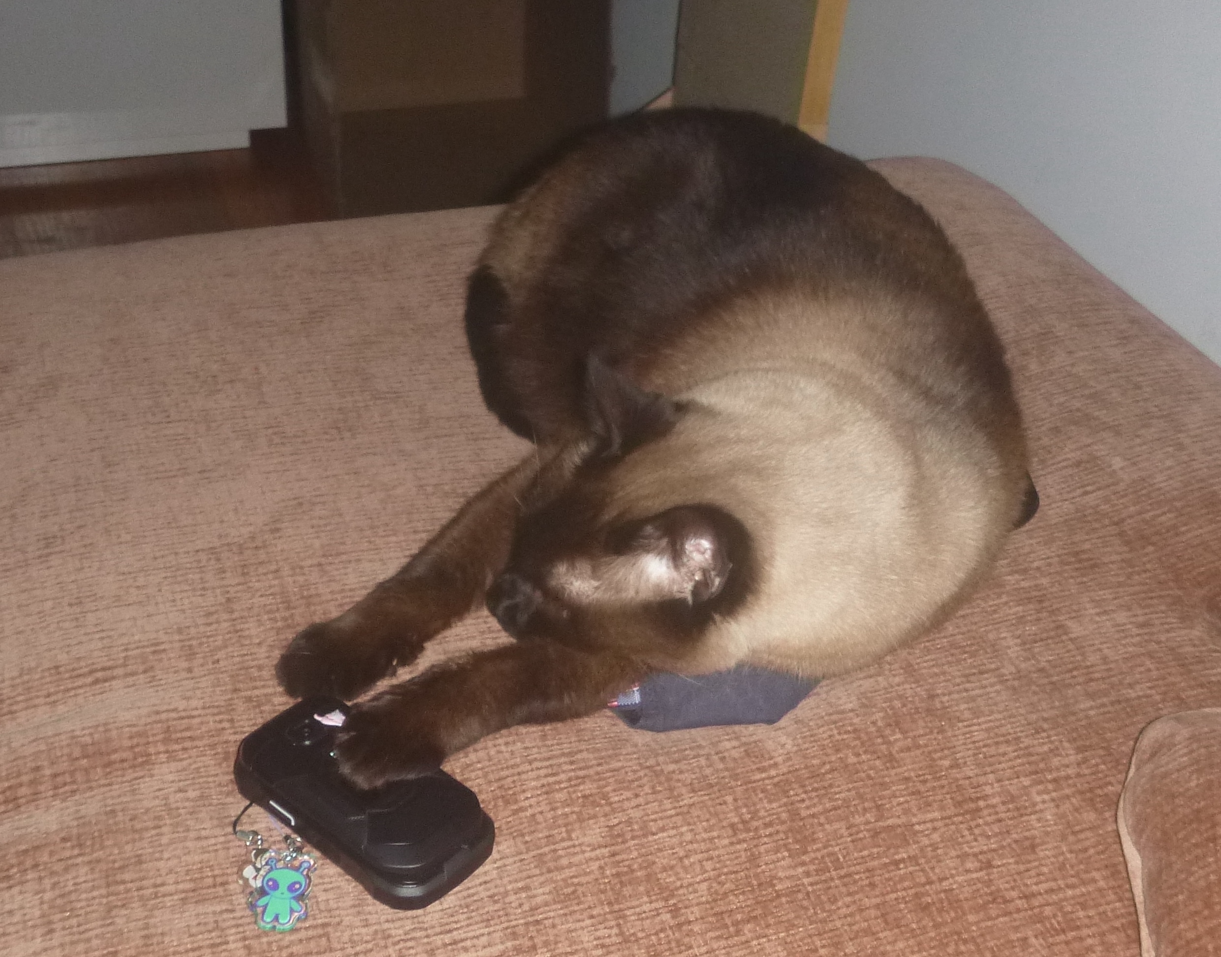 gus loves tech